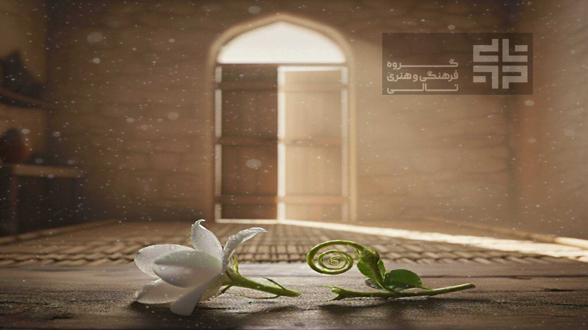 Fatemieh Taly